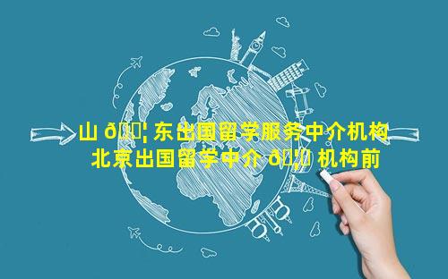 山 🐦 东出国留学服务中介机构 北京出国留学中介 🦊 机构前十名